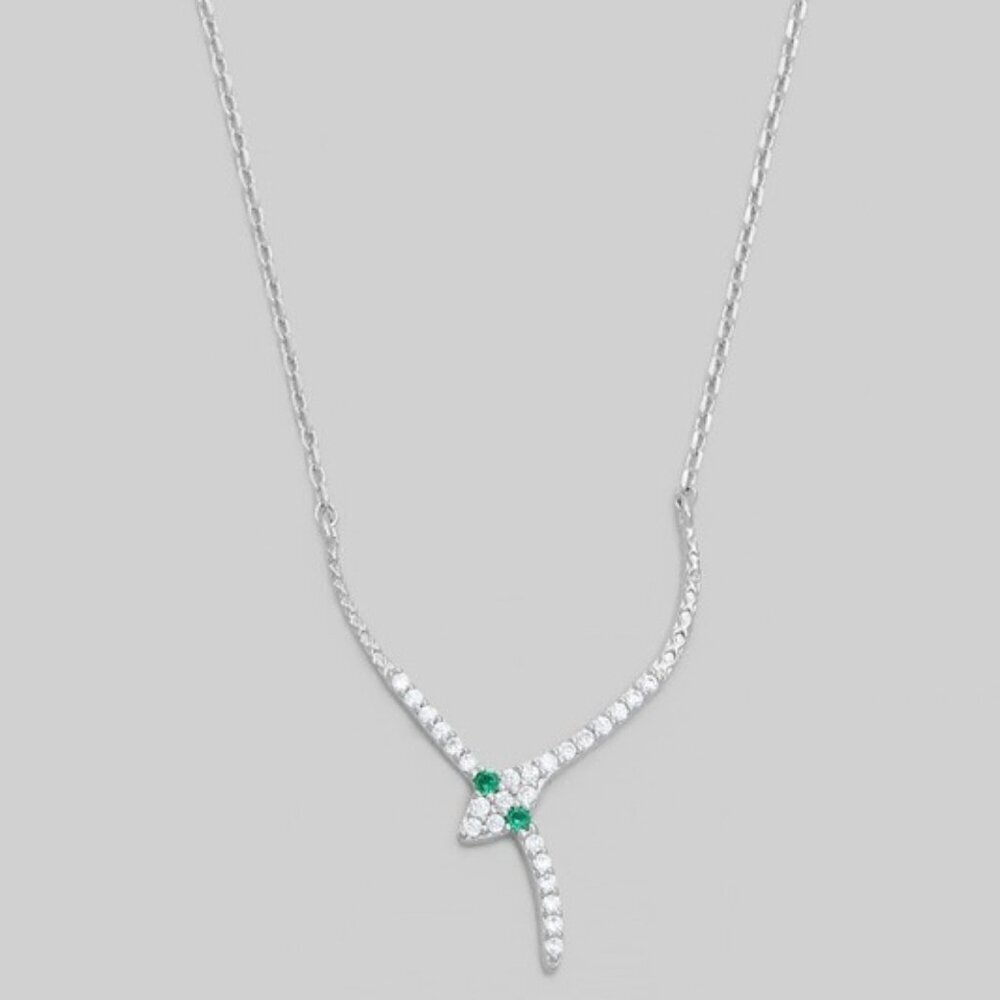 RYNN SILVER SNAKE NECKLACE